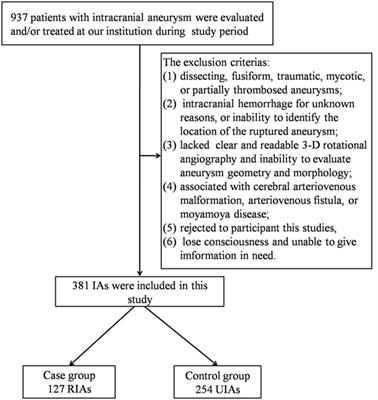 Number of Cigarettes Smoked Per Day, Smoking Index, and Intracranial Aneurysm Rupture: A Case–Control Study